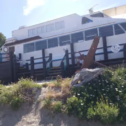 Península Valdés Whale Watching - Puerto Madryn