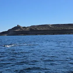 Península Valdés Whale Watching - Puerto Madryn