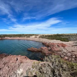 Punta Tombo Penguin Colony - Puerto Madryn