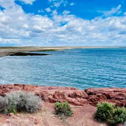 Punta Tombo Penguin Colony - Puerto Madryn