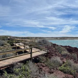 Punta Tombo Penguin Colony - Puerto Madryn