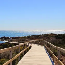 Punta Tombo Penguin Colony - Puerto Madryn
