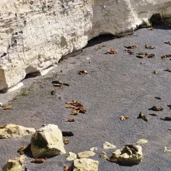 Reserva Natural Punta Loma - Puerto Madryn