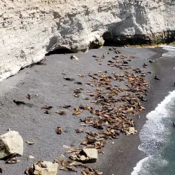 Reserva Natural Punta Loma - Puerto Madryn