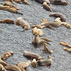 Reserva Natural Punta Loma - Puerto Madryn