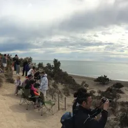 Valdés Peninsula - Puerto Madryn