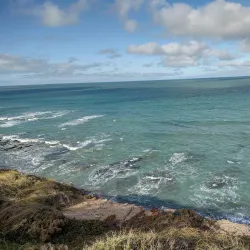 Valdés Peninsula - Puerto Madryn