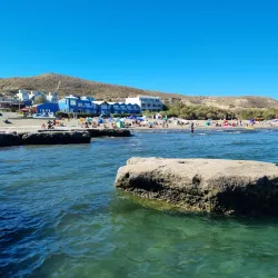 Valdés Peninsula - Puerto Madryn