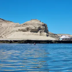 Valdés Peninsula - Puerto Madryn