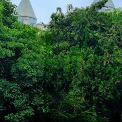 Iglesia Catedral de Resistencia - Resistencia