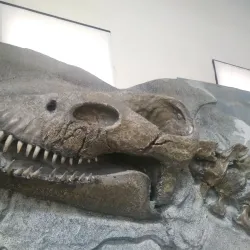 Museo Regional Provincial Padre Manuel Jesús Molina - Rio Gallegos