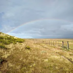 Reserva Natural Urbana Costanera - Rio Gallegos