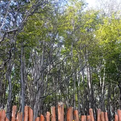 Parque Yatana - Rio Grande