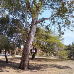 Museo Histórico Municipal de Río Tercero - Río Tercero