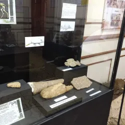 Museo Histórico Municipal de Río Tercero - Río Tercero