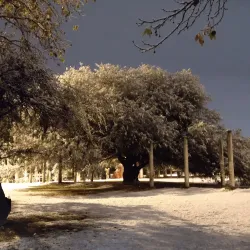 Parque de la Vida - Río Tercero