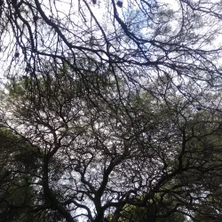 Parque de la Vida - Río Tercero