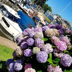 Club Náutico San Fernando - San Fernando