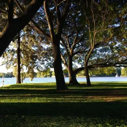 Club Náutico San Fernando - San Fernando