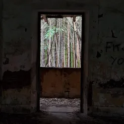 Reserva Natural de la Isla Martín García - San Fernando