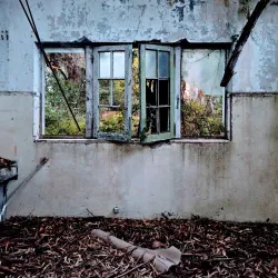 Reserva Natural de la Isla Martín García - San Fernando