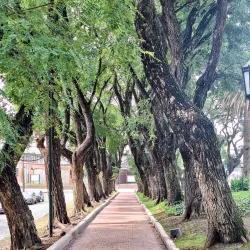 Plaza Mitre - San Isidro