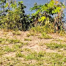 Río de la Plata Waterfront - San Isidro