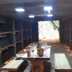 Bodega Graffigna - San Juan