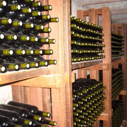 Bodega Graffigna - San Juan