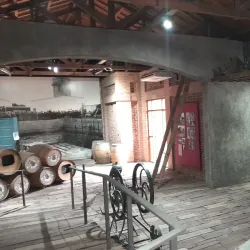 Bodega Graffigna - San Juan