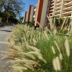 Centro Cívico de San Juan - San Juan