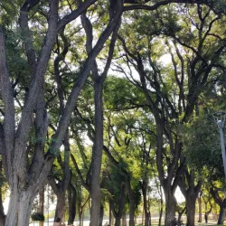 Parque de Mayo - San Juan