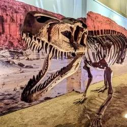 Parque Ischigualasto - San Juan