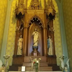 Iglesia Catedral de San Luis Rey de Francia - San Luis