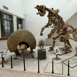 Museo Provincial de Historia Natural - San Luis