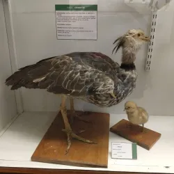 Museo Provincial de Historia Natural - San Luis