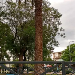 Plaza Pringles - San Luis