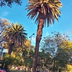 Plaza Pringles - San Luis