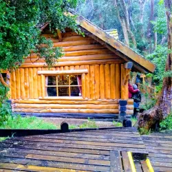 Arrayanes Forest - San Martin de los Andes