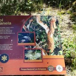 Arrayanes Forest - San Martin de los Andes