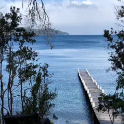 Arrayanes Forest - San Martin de los Andes