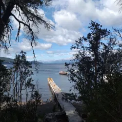 Arrayanes Forest - San Martin de los Andes