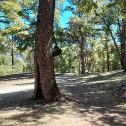 Mirador Bandurrias - San Martin de los Andes