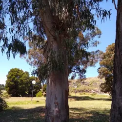 Parque del Bicentenario - Tandil