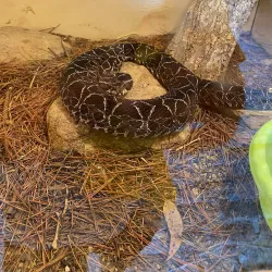 Reserva Natural Sierra del Tigre - Tandil