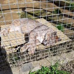 Reserva Natural Sierra del Tigre - Tandil