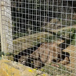 Reserva Natural Sierra del Tigre - Tandil
