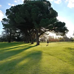Tandil Golf Club - Tandil