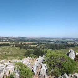 Tandil Golf Club - Tandil
