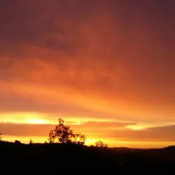 Tandil Golf Club - Tandil